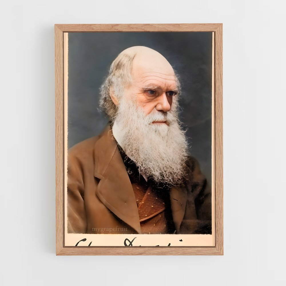 ap-charles darwin-1 cadre Bois clair