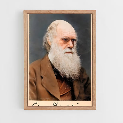ap-charles darwin-1 cadre Bois clair