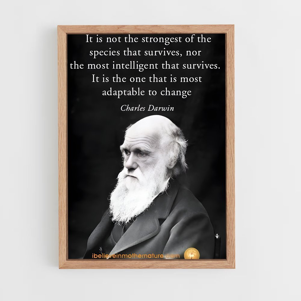 ap-charles darwin-2 cadre Bois clair