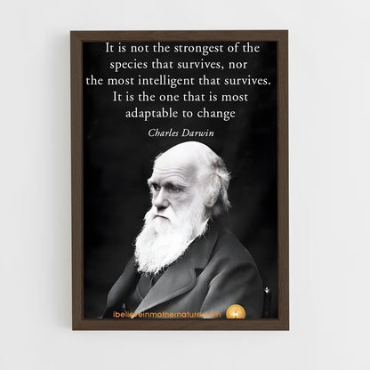 ap-charles darwin-2 cadre Bois foncé
