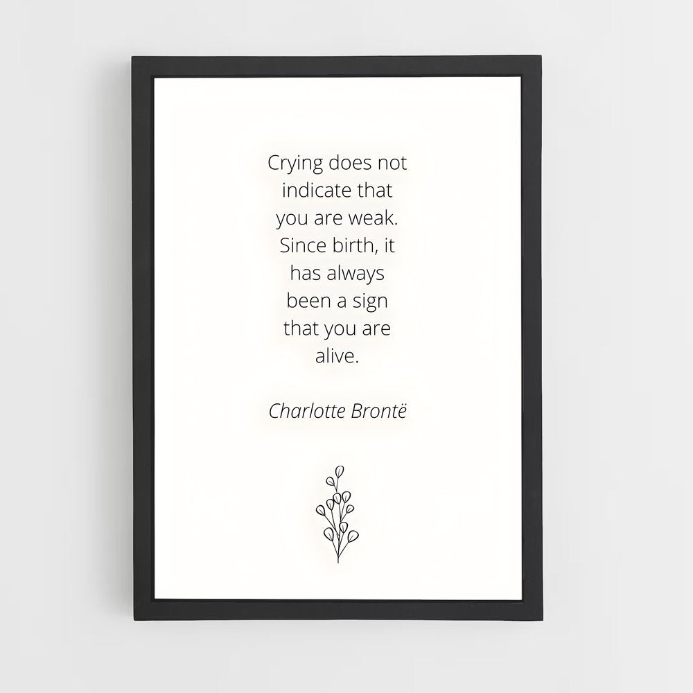 ap-charlotte bronte-2 cadre Noir