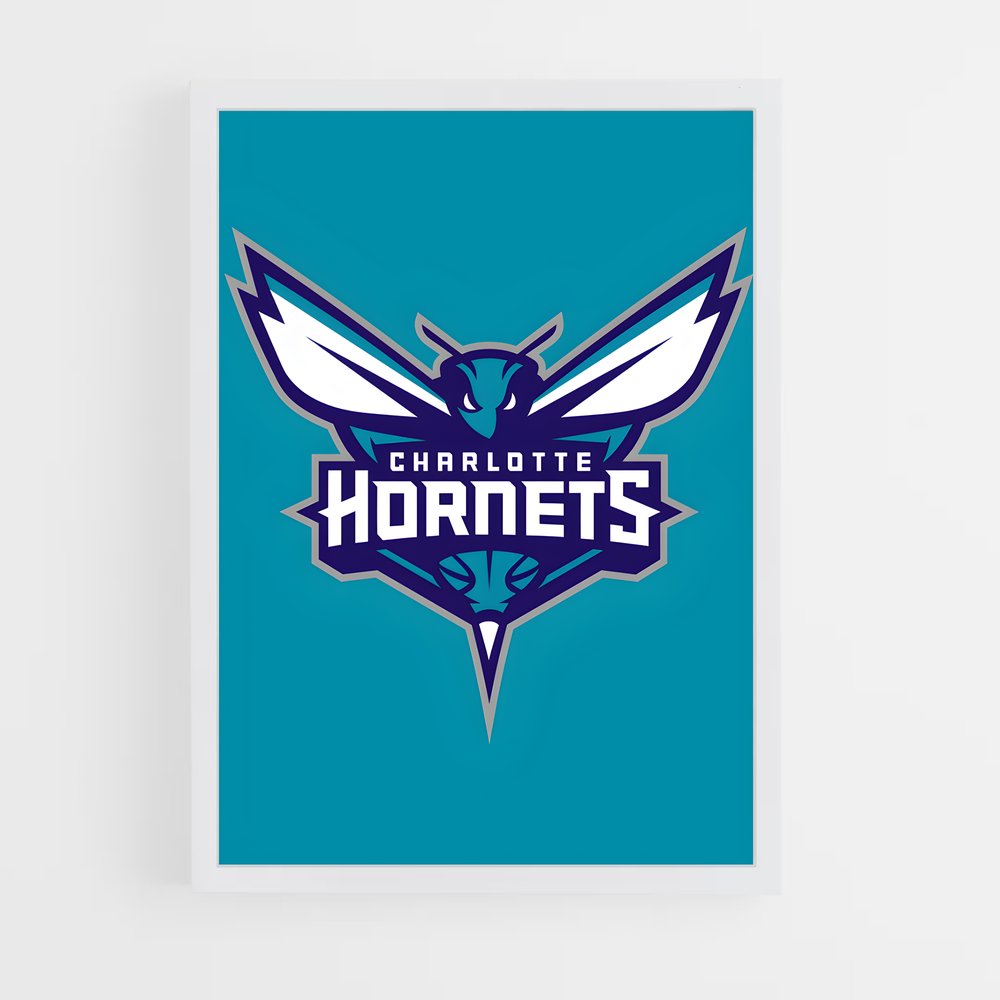 ap-charlotte hornets-1 cadre Blanc