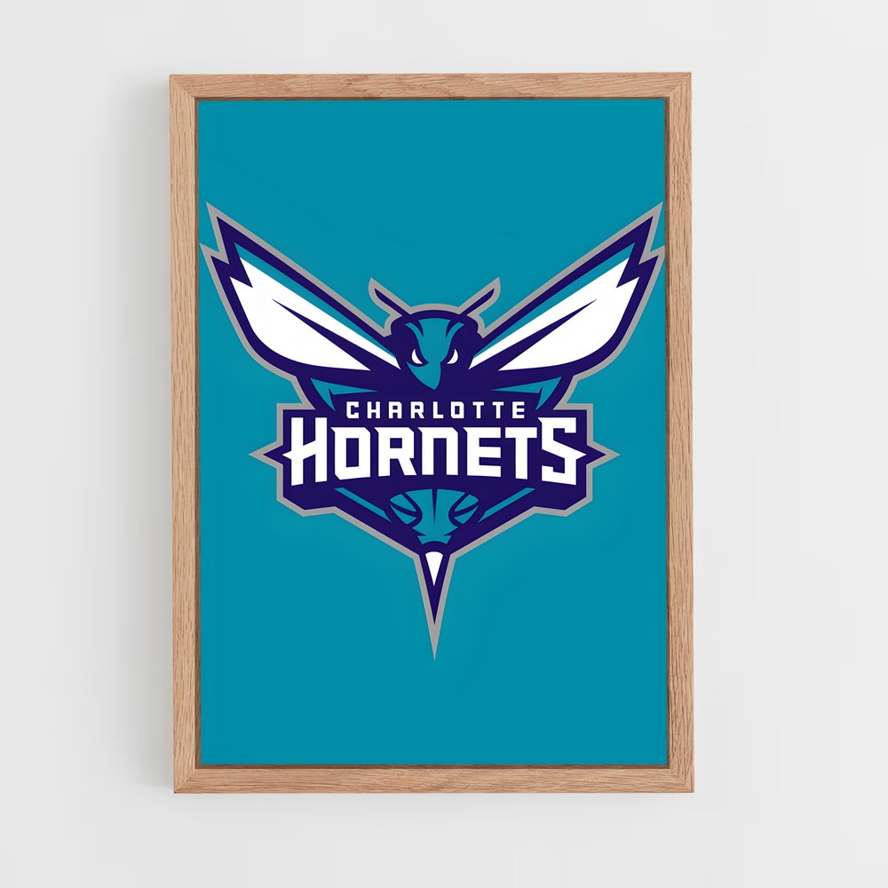 ap-charlotte hornets-1 cadre Bois clair