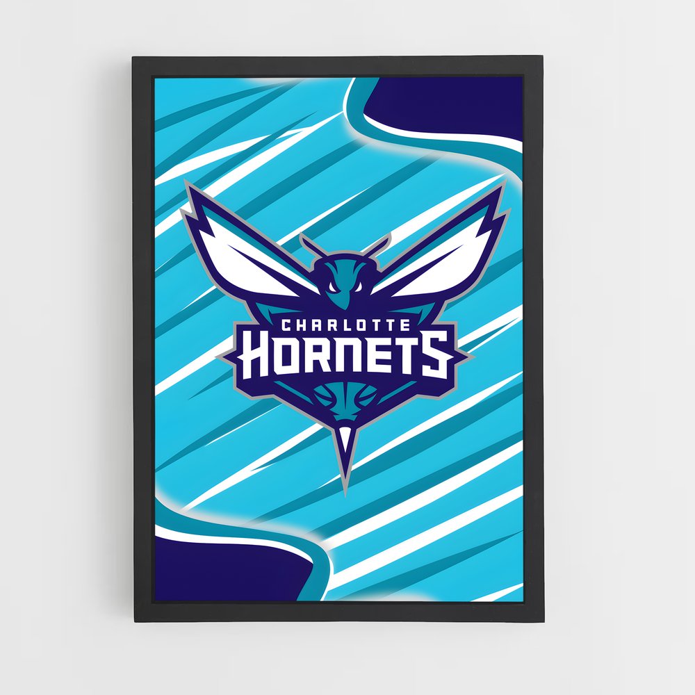 ap-charlotte hornets-3 cadre Noir