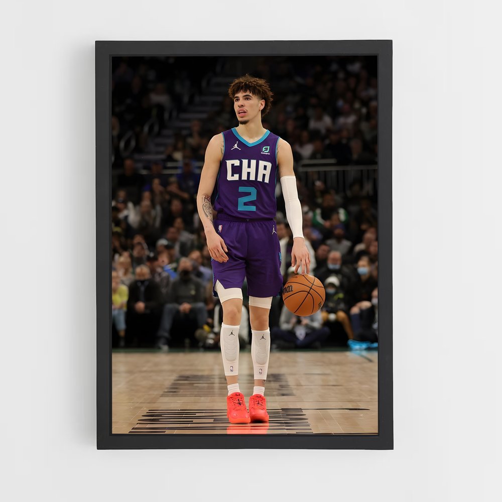 ap-charlotte hornets-6 cadre Noir