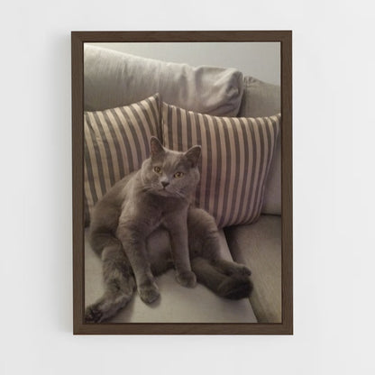 ap-chartreux-7 cadre Bois foncé
