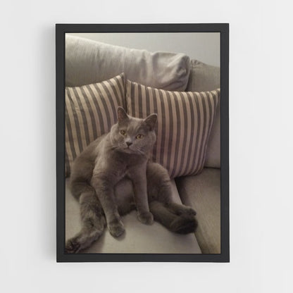 ap-chartreux-7 cadre Noir