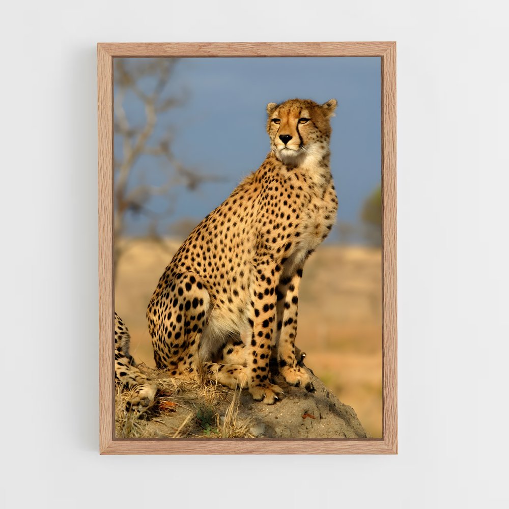 ap-cheetah-3 cadre Bois clair
