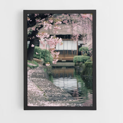 ap-cherry blossom-11 cadre Noir