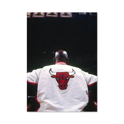 Poster Bulls en Action