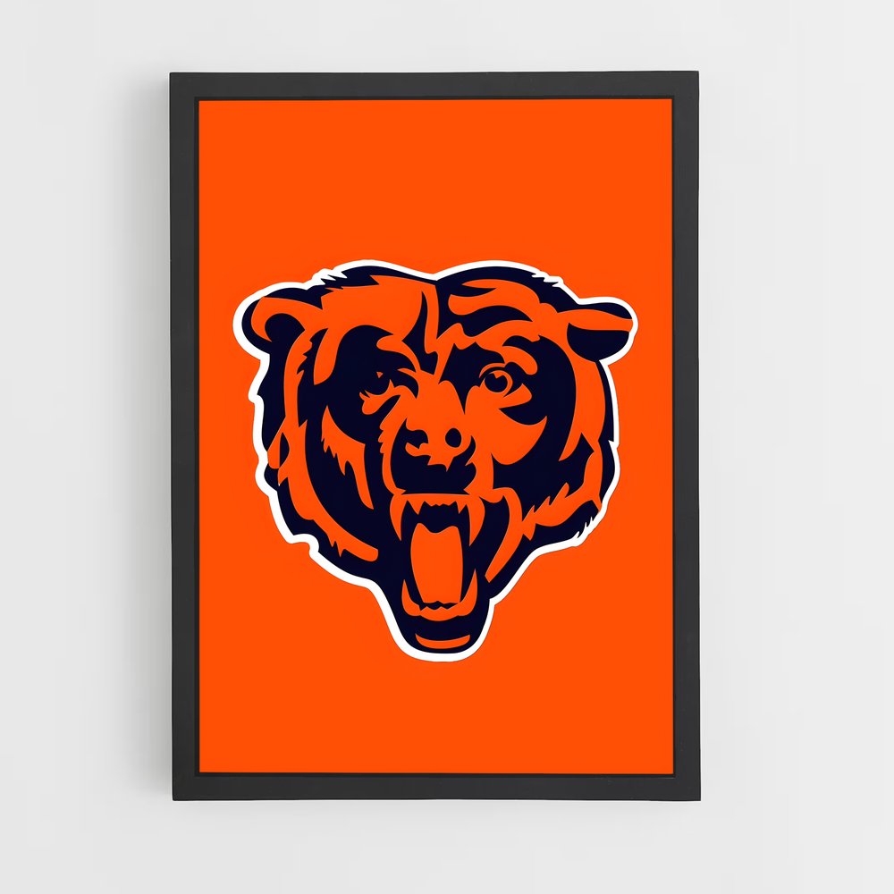 ap-chicago bears-1 cadre Noir