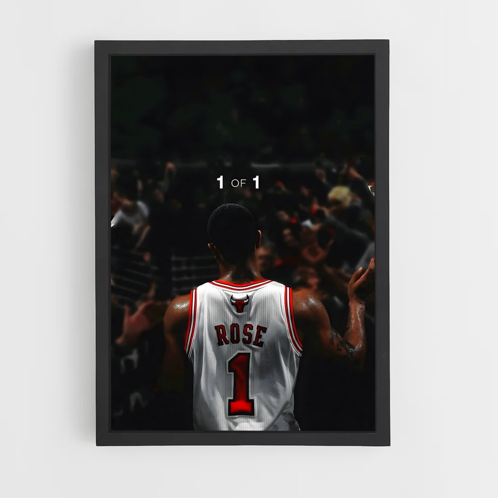 ap-chicago bulls-11 cadre Noir
