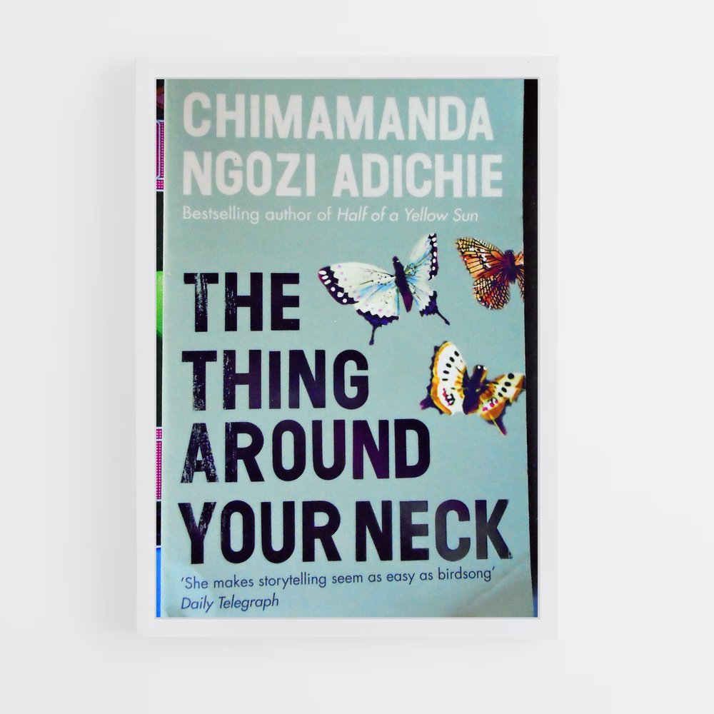 ap-chimamanda ngozi adichie-3 cadre Blanc