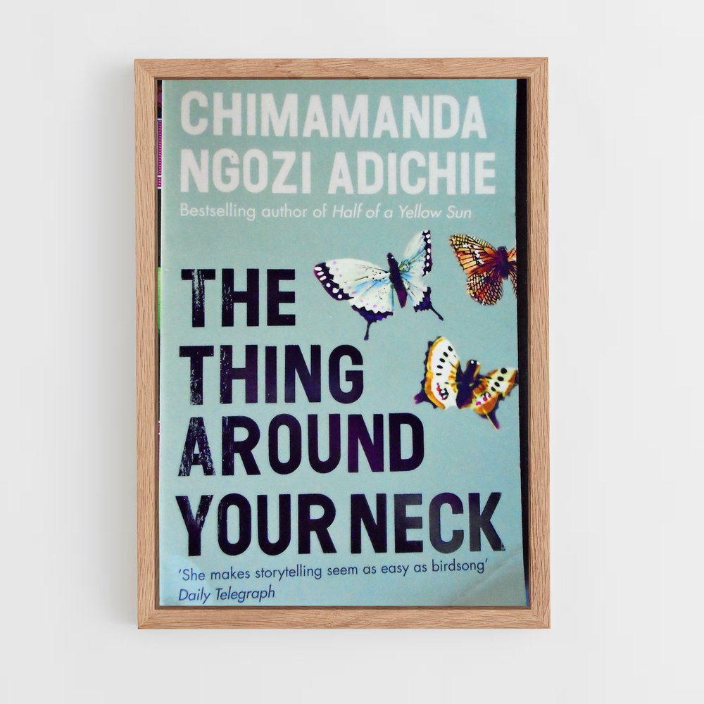 ap-chimamanda ngozi adichie-3 cadre Bois clair
