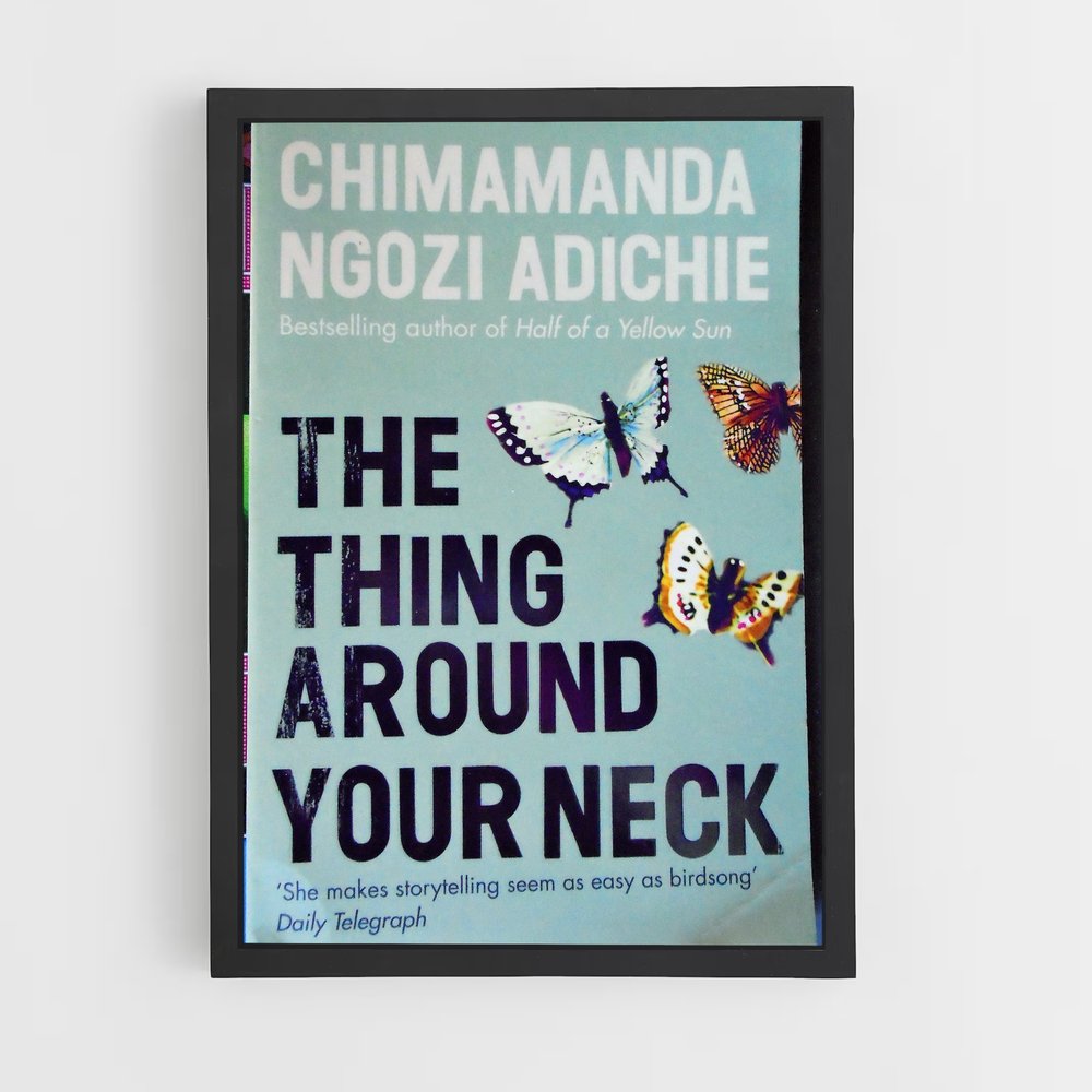 ap-chimamanda ngozi adichie-3 cadre Noir