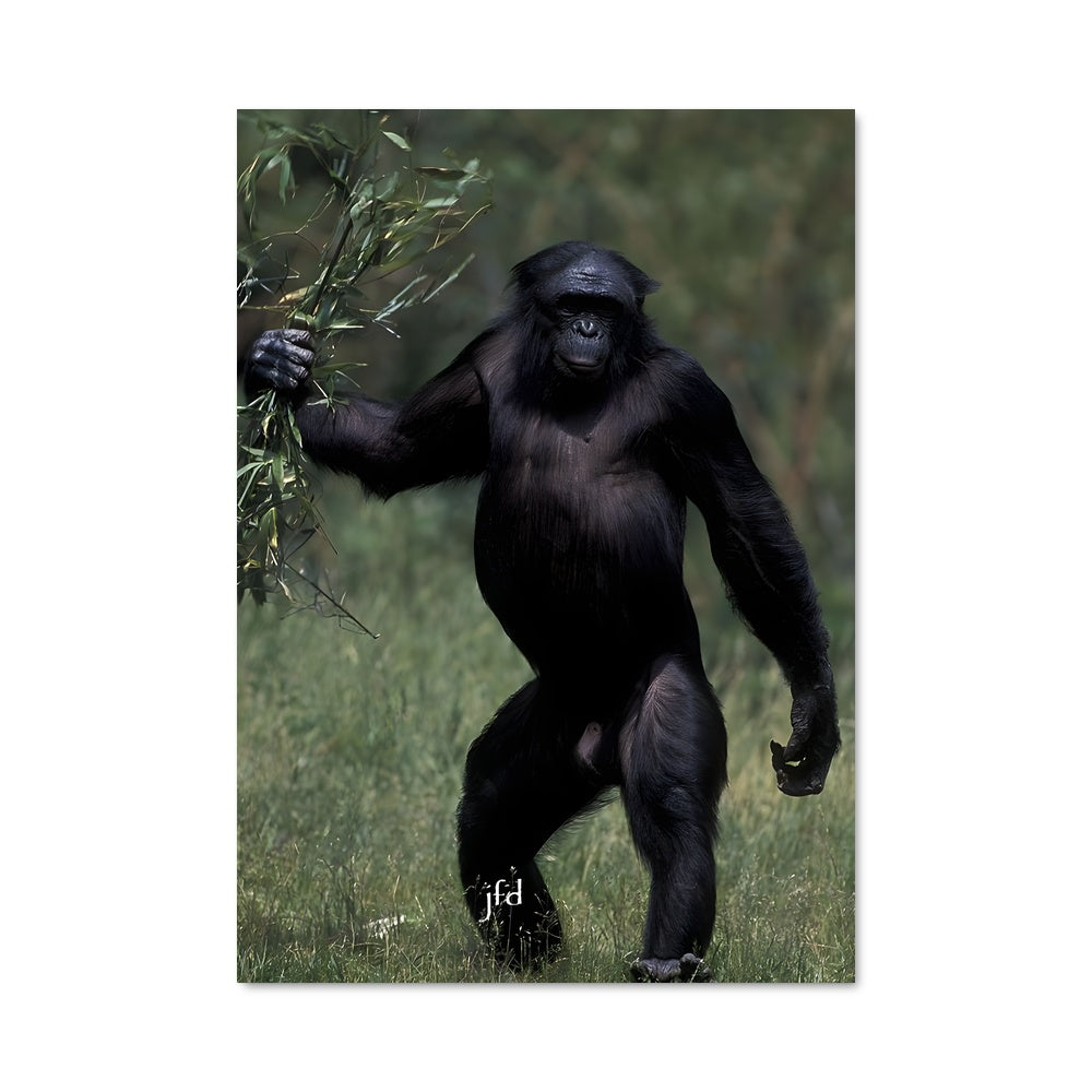 Poster Le Gardien de la Savane