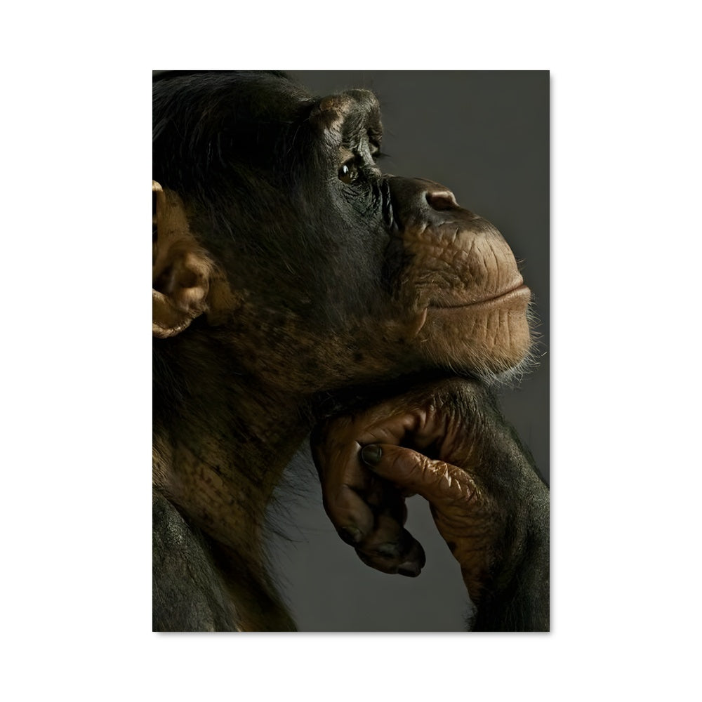 Poster Cri de la Jungle