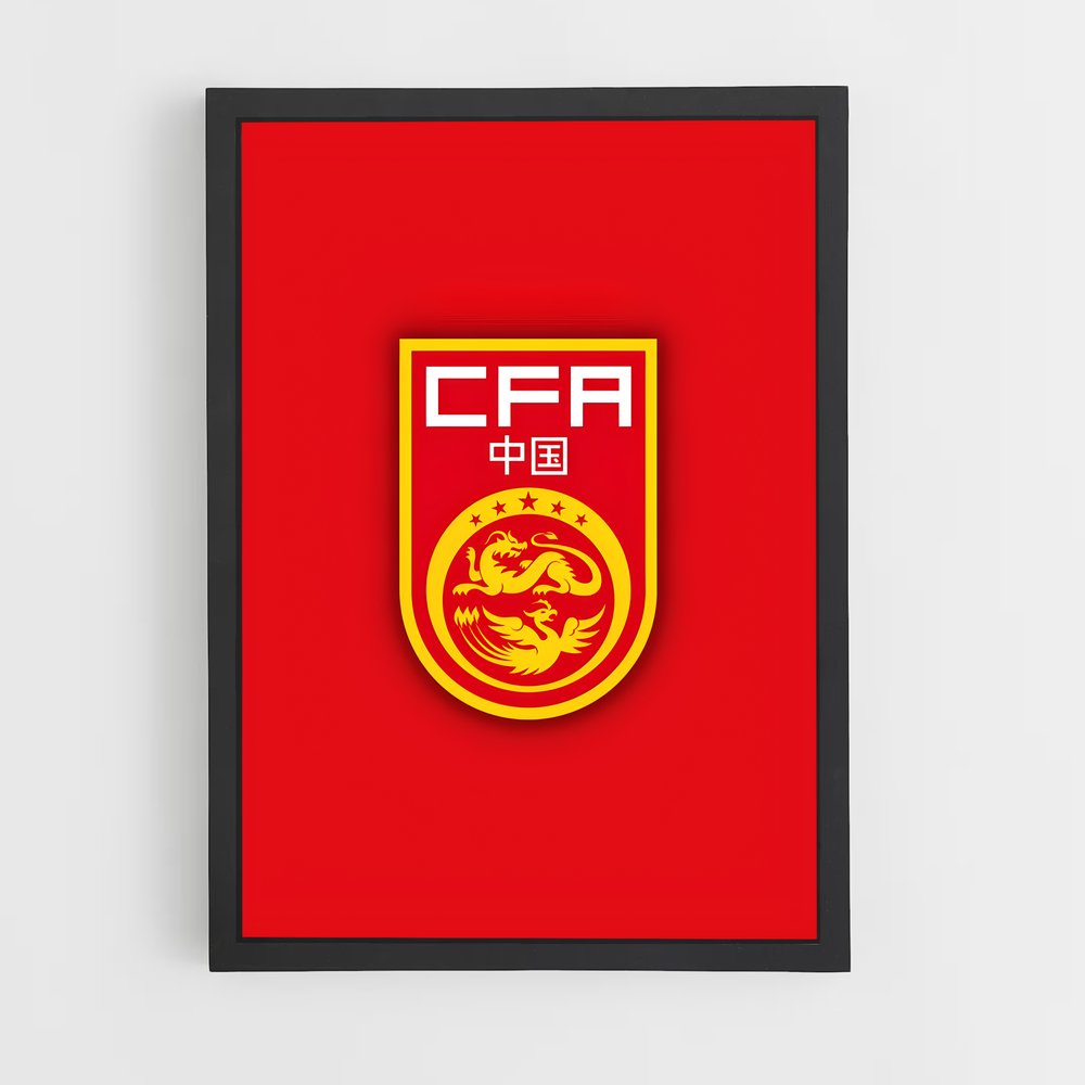 ap-china national football team-1 cadre Noir