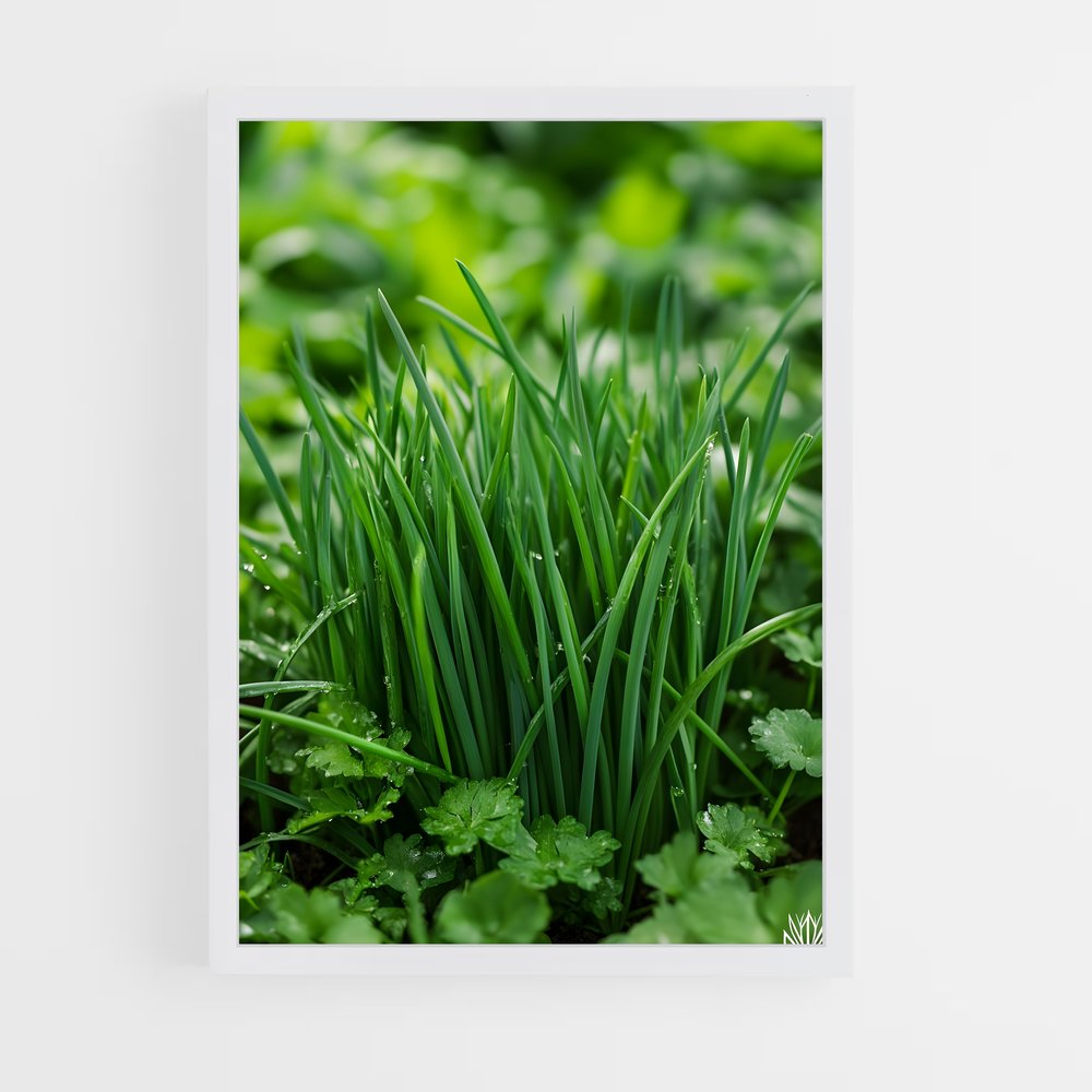 ap-chives-1 cadre Blanc