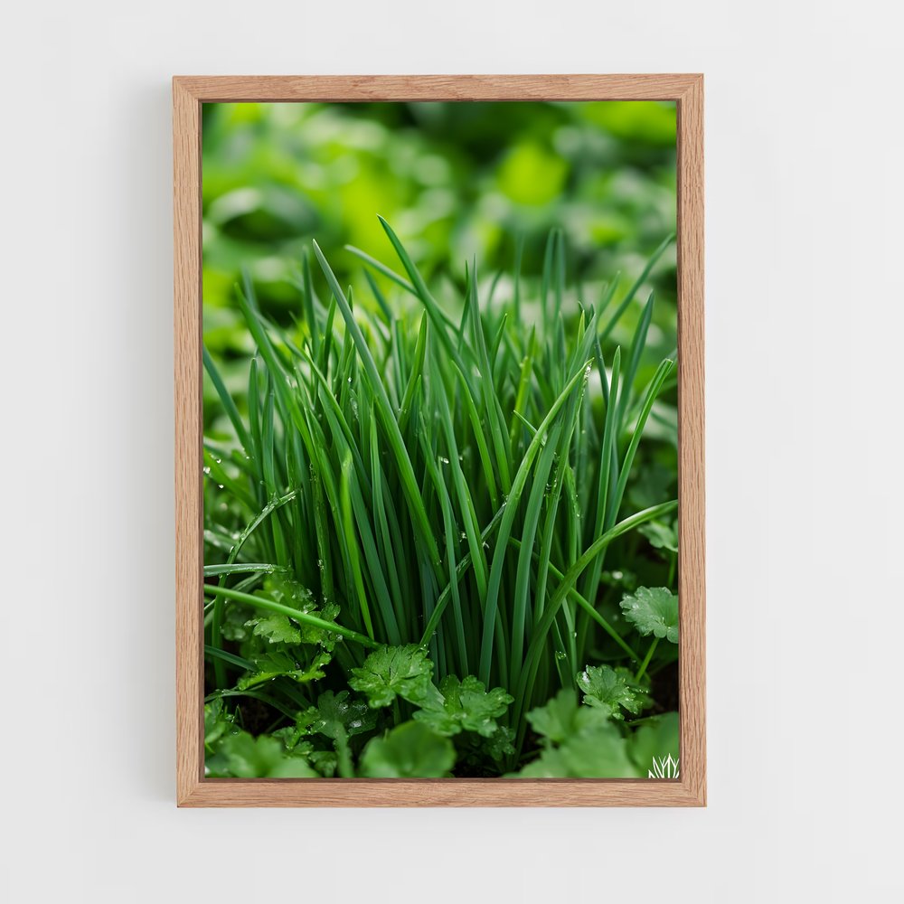ap-chives-1 cadre Bois clair