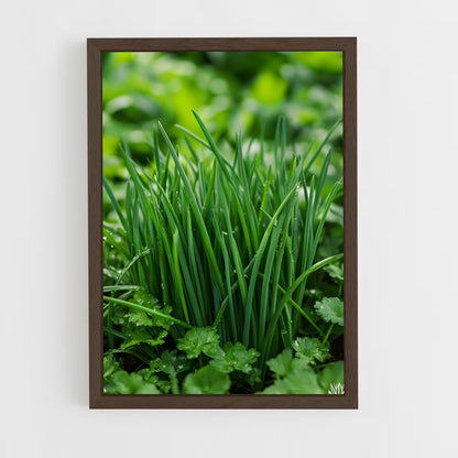 ap-chives-1 cadre Bois foncé