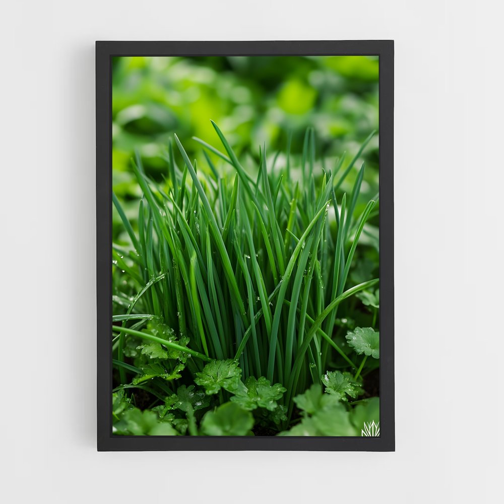 ap-chives-1 cadre Noir