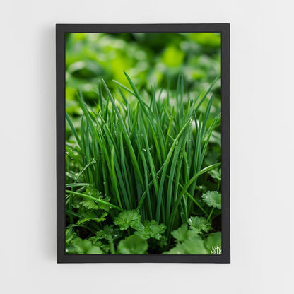 ap-chives-1 cadre Noir
