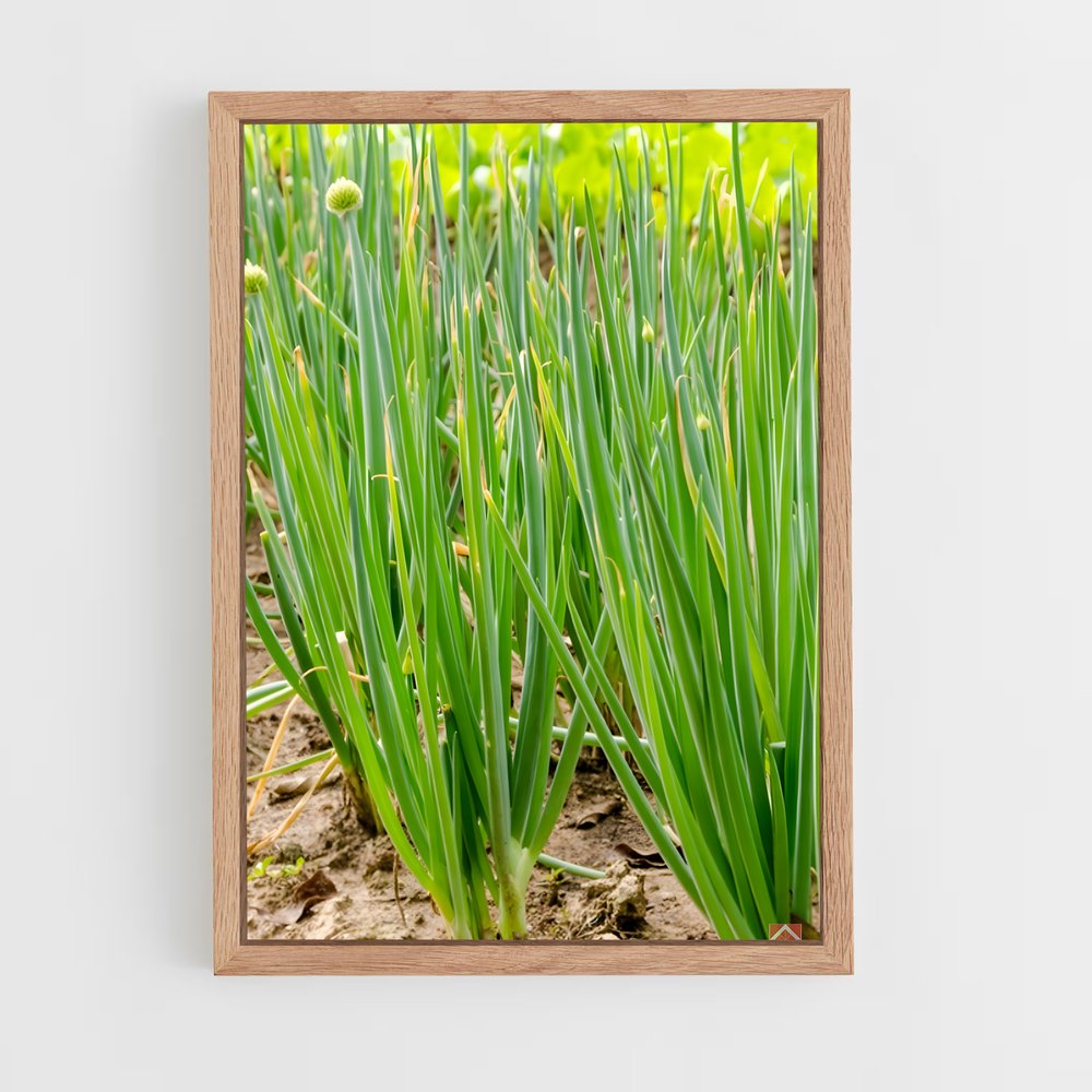 ap-chives-2 cadre Bois clair