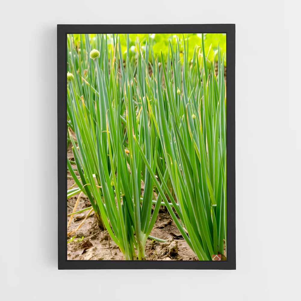 ap-chives-2 cadre Noir