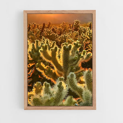ap-cholla-2 cadre Bois clair