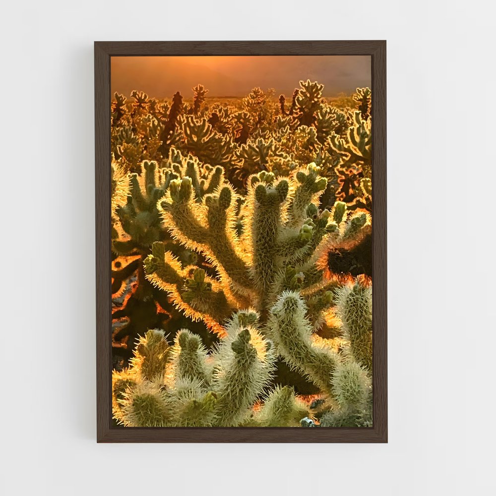 ap-cholla-2 cadre Bois foncé