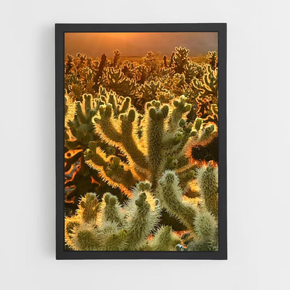 ap-cholla-2 cadre Noir