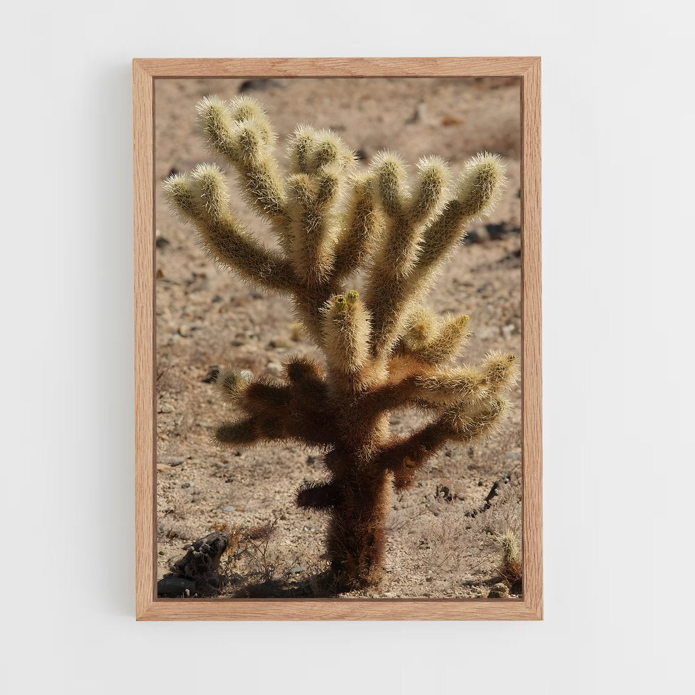 ap-cholla-5 cadre Bois clair