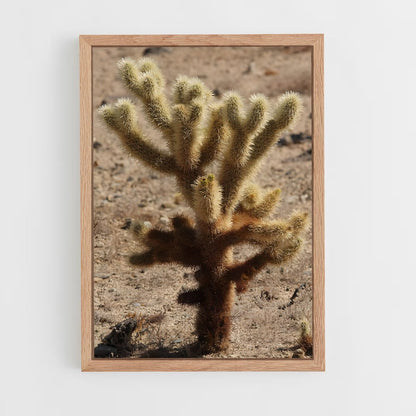 ap-cholla-5 cadre Bois clair