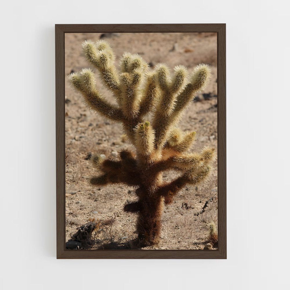 ap-cholla-5 cadre Bois foncé