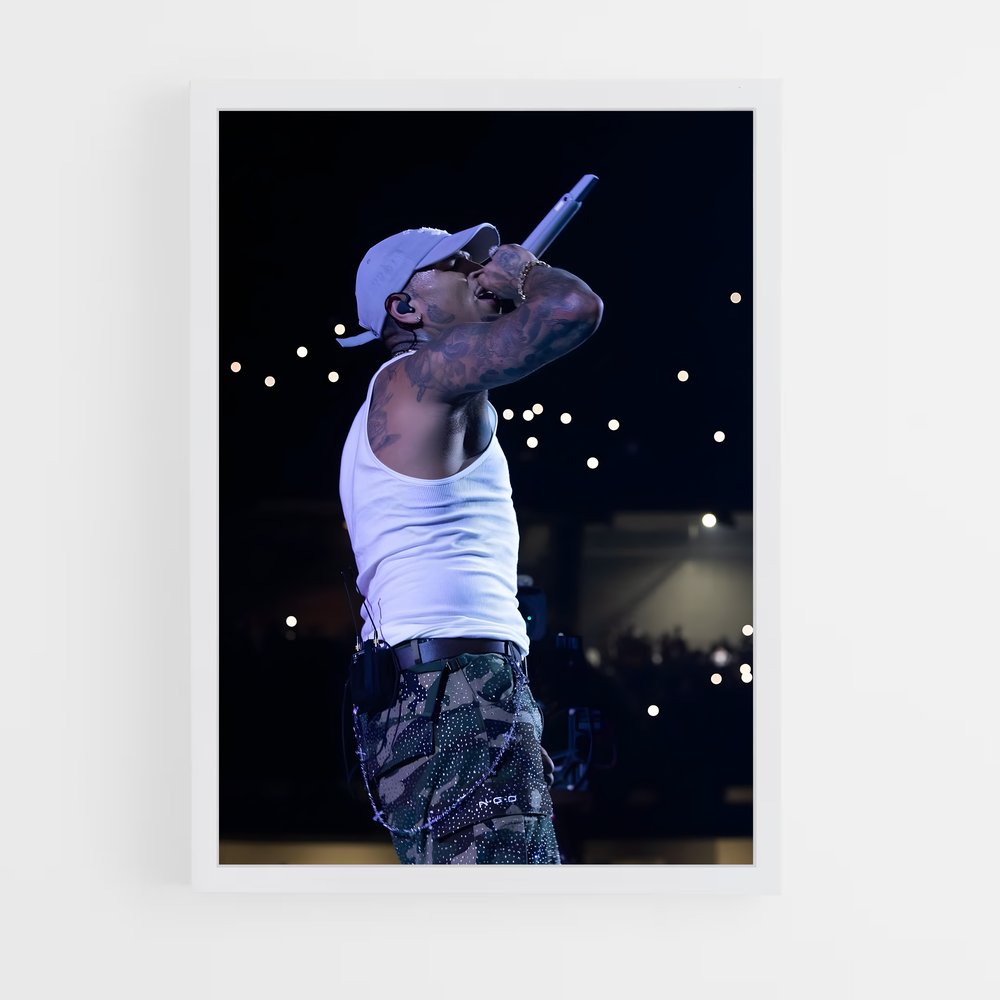 ap-chris brown-2 cadre Blanc