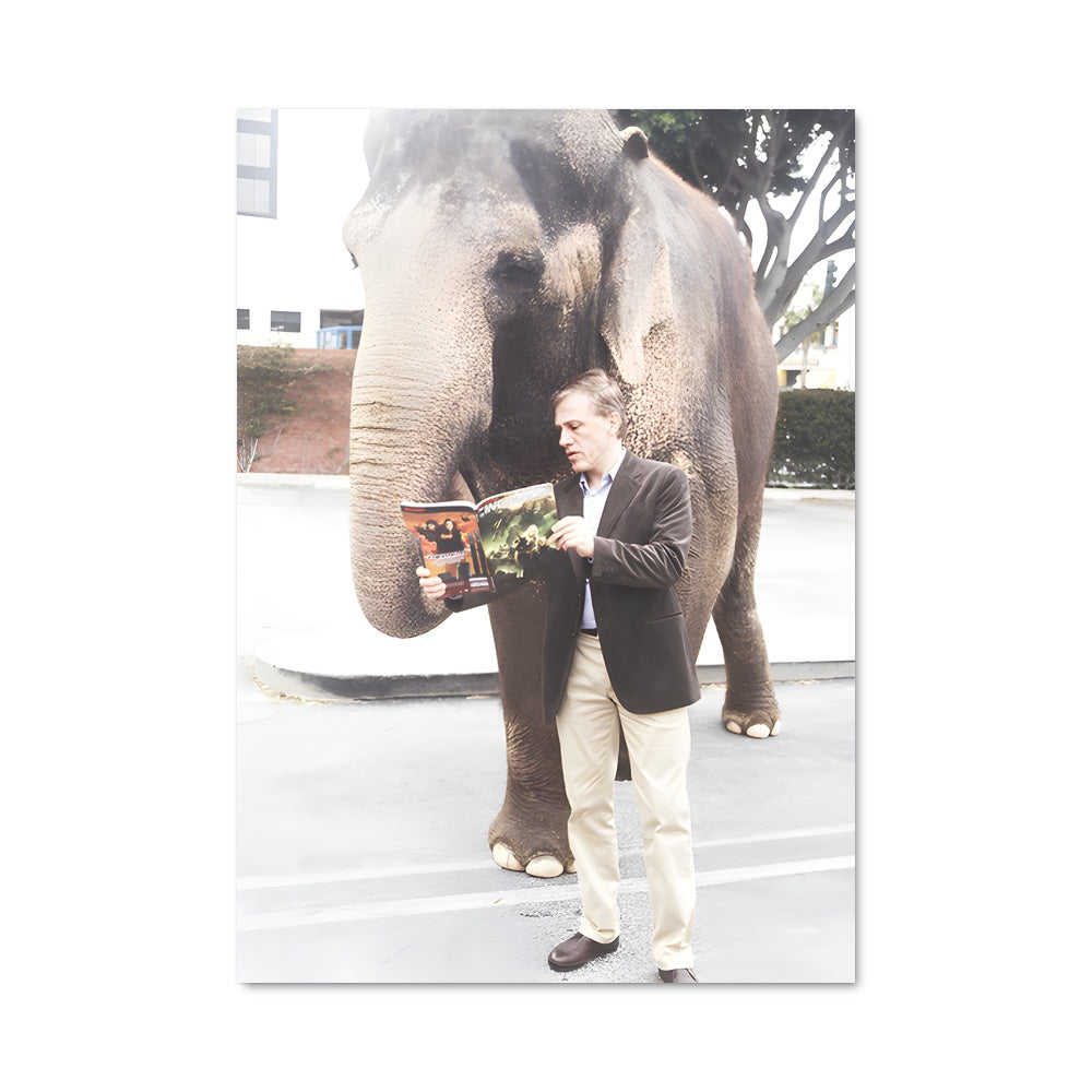 Poster Christophe 51003