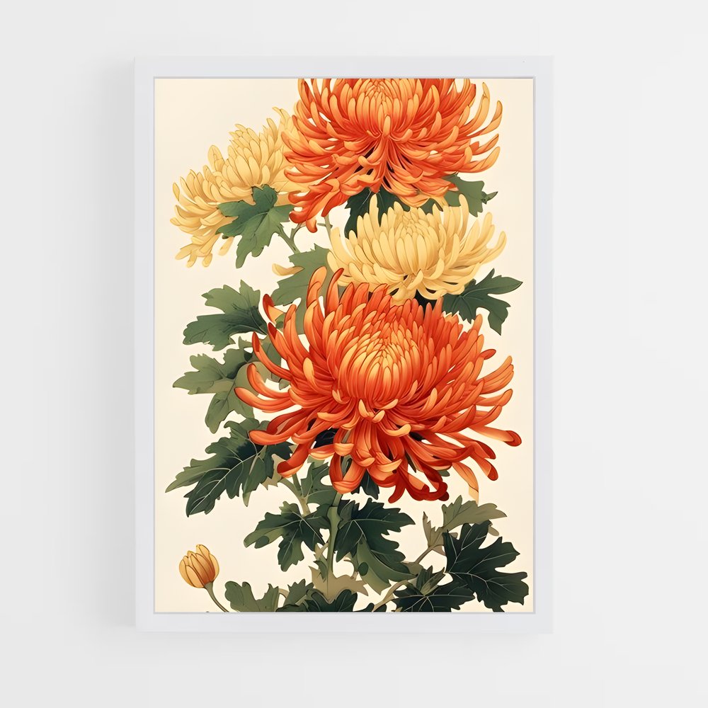ap-chrysanthemum-3 cadre Blanc