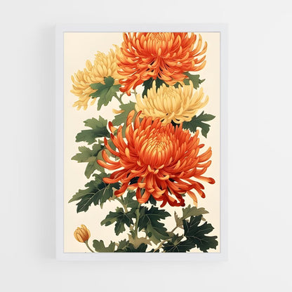 ap-chrysanthemum-3 cadre Blanc