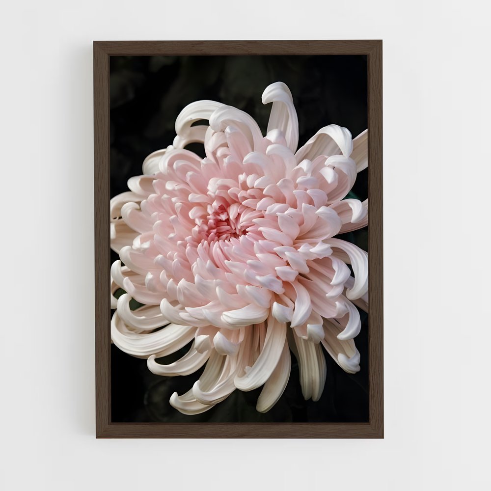 ap-chrysanthemum-4 cadre Bois foncé
