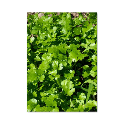 Poster Jardin Vert
