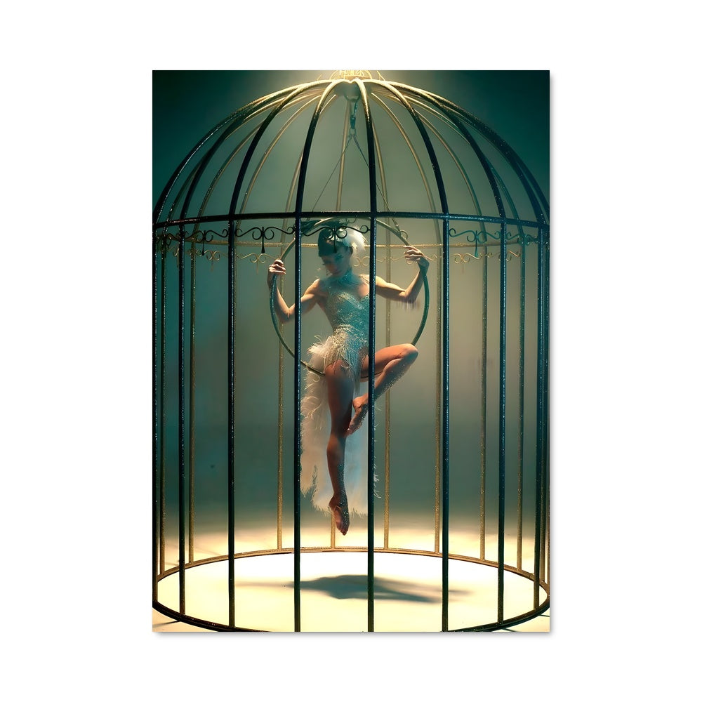 Poster La Cage aux Oiseaux