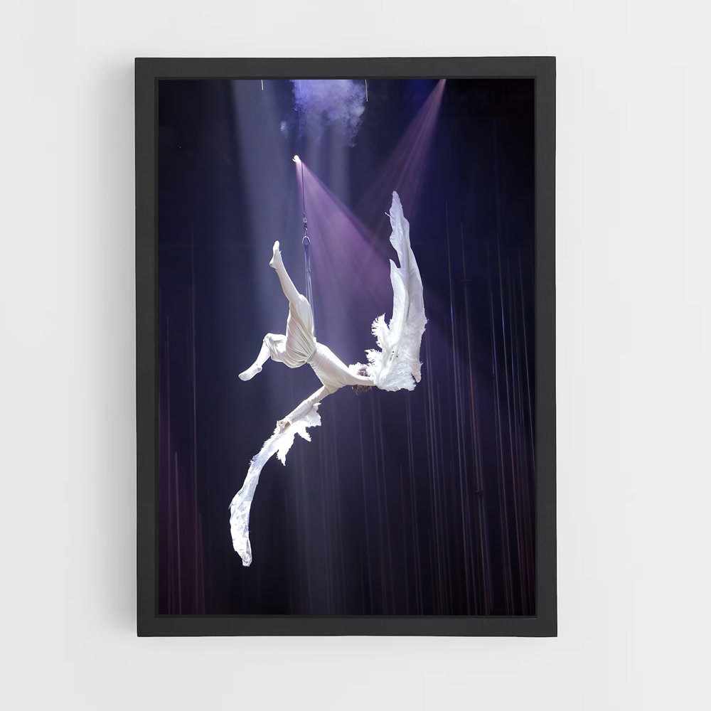 ap-cirque du soleil-1 cadre Noir