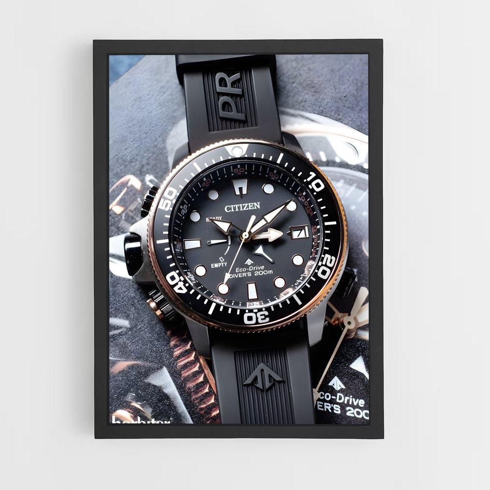 ap-citizen-2 cadre Noir