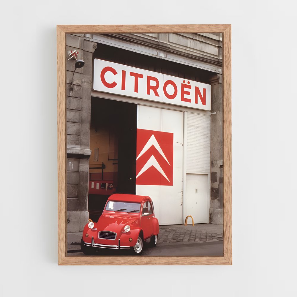ap-citroen-1 cadre Bois clair