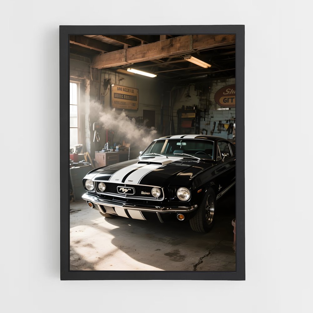 ap-classic-2 cadre Noir