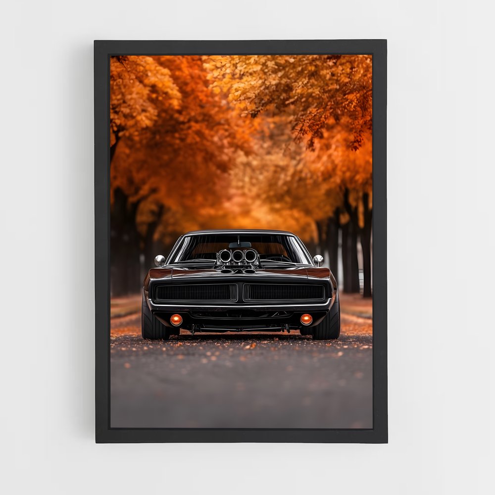 ap-classic-3 cadre Noir
