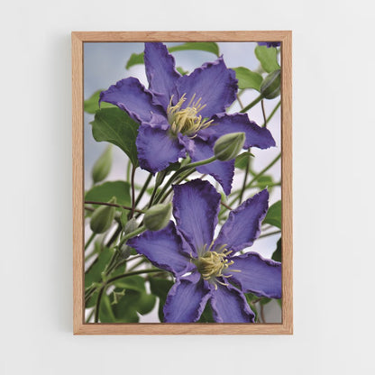 ap-clematis-1 cadre Bois clair