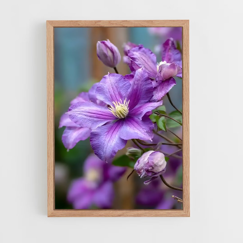 ap-clematis-10 cadre Bois clair