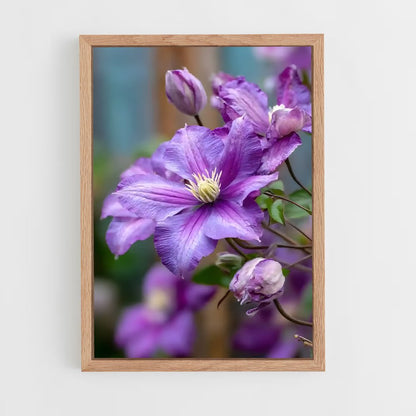 ap-clematis-10 cadre Bois clair